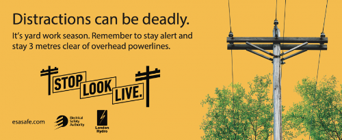 powerline safety esa
